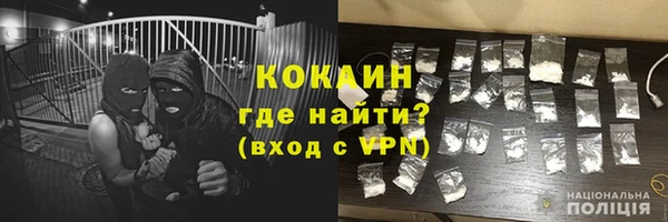 шишки Армянск