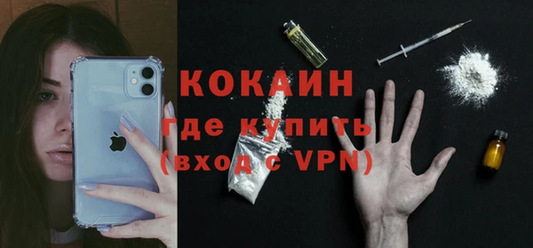твердый Аркадак