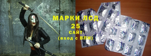 твердый Аркадак