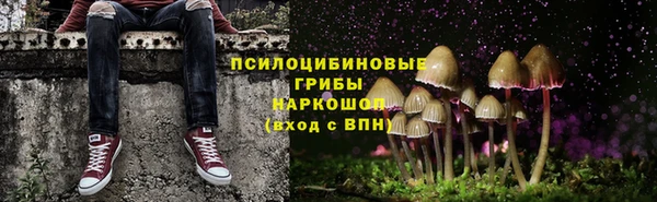 твердый Аркадак
