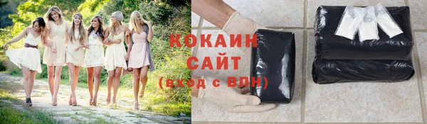ГАЛЛЮЦИНОГЕННЫЕ ГРИБЫ Арсеньев